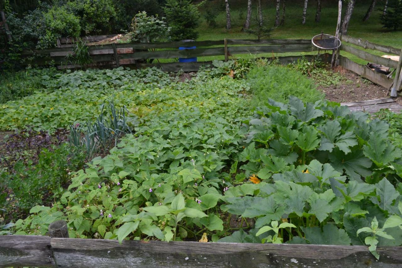 Agroturystyka Teosiowo Побиедна Екстериор снимка